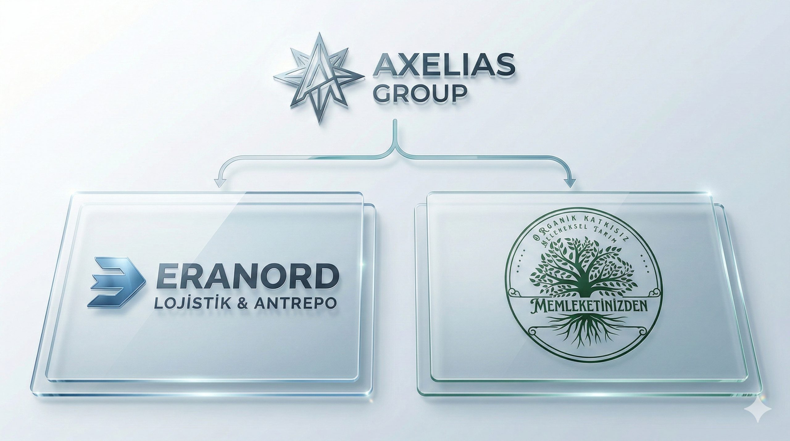 Axelias Group structure visual